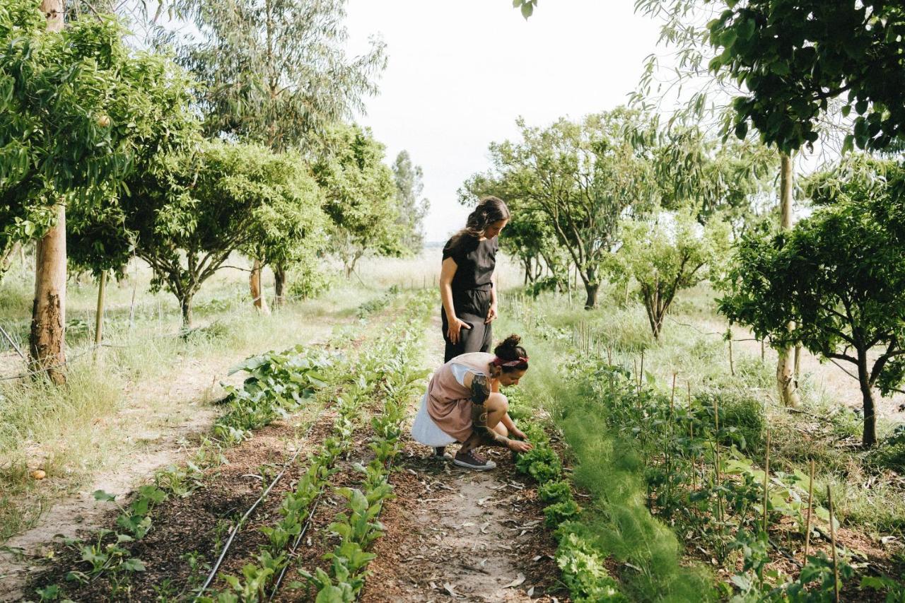 Humus Farm Villa Aguas de Moura Exterior photo